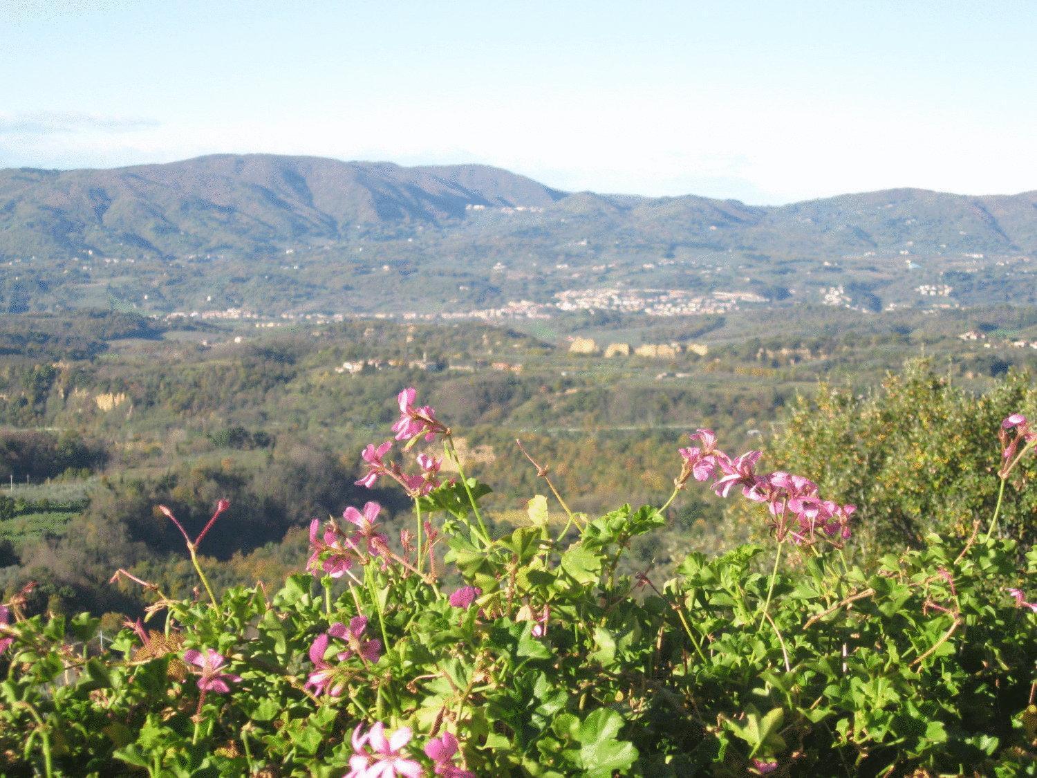 Agriturismo La Capitata Pian Di Sco Екстер'єр фото