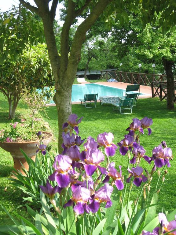 Agriturismo La Capitata Pian Di Sco Екстер'єр фото